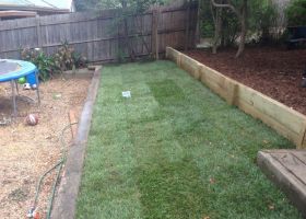 AFTER - We laid fresh turf to transform the garden bed into lush lawn.