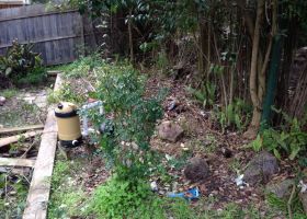 BEFORE - Aaron's garden bed was unused and full of weeds.