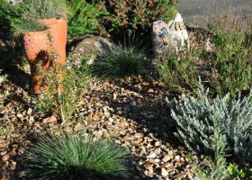 Native plantings maintained by Green Thoughts Gardening.