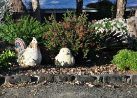 Quirky personal additions to Fiona's garden.
