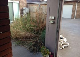 BEFORE - Runaway shrubs were ruining this Victorian garden's entrance way.